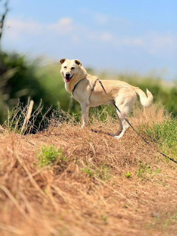 Nerone Foto 5